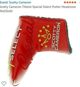 Head cover for a putter